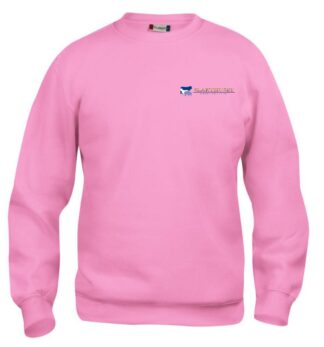 Collegegenser Clique™ Basic(i knæsje farger)